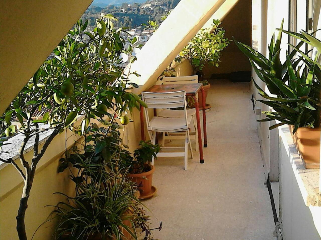 A Casa Di Lola Bed & Breakfast Ascoli Piceno Bagian luar foto