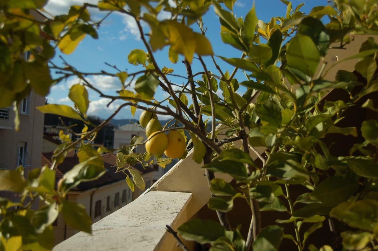A Casa Di Lola Bed & Breakfast Ascoli Piceno Bagian luar foto