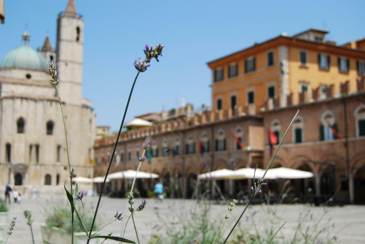A Casa Di Lola Bed & Breakfast Ascoli Piceno Bagian luar foto