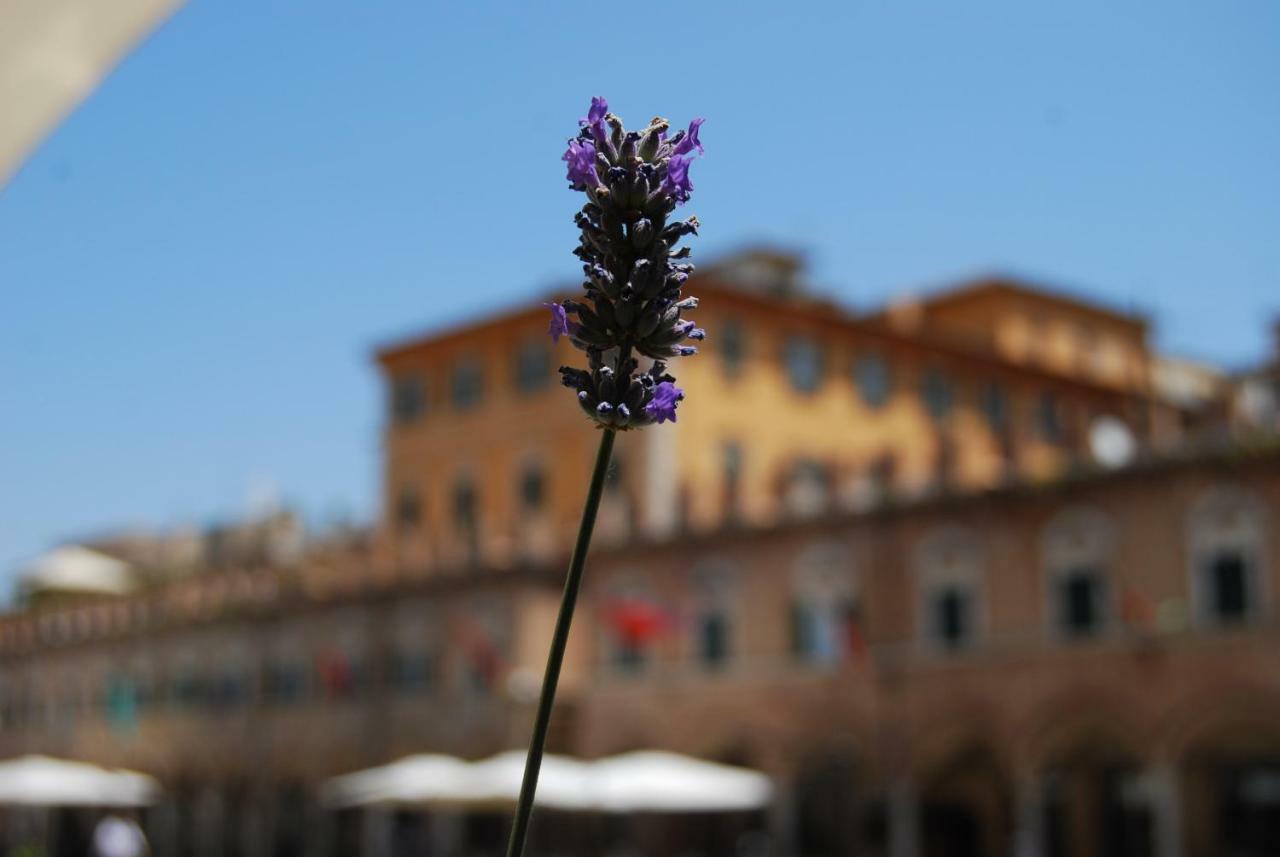 A Casa Di Lola Bed & Breakfast Ascoli Piceno Bagian luar foto